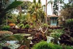 Arucas: Det er vakkert i Jardin de Marquesa